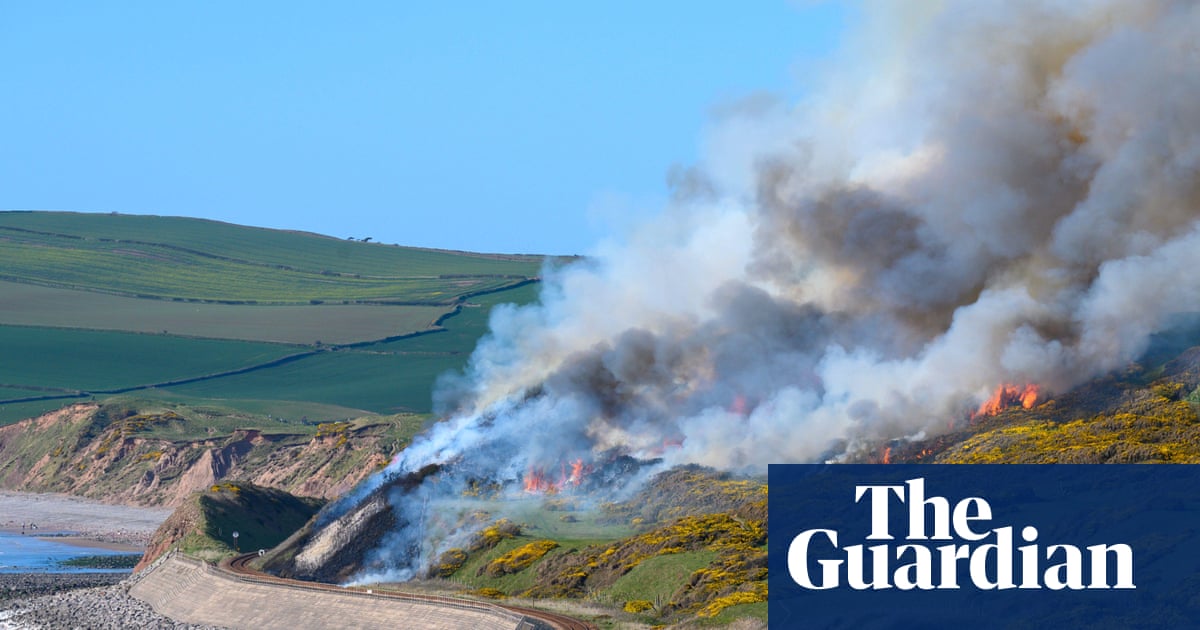 Record Number of Wildfires Tackled by English Fire Services in 2025 image from theguardian.com