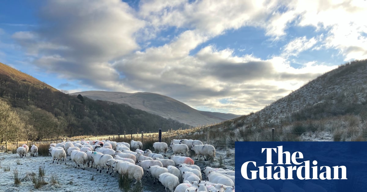A Wave of Relief on the Farm with the Inheritance Tax Change image from theguardian.com