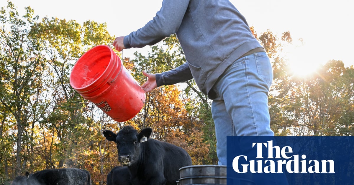 Trump Unveils $12bn Aid Package for US Farmers Amid Ongoing Challenges image from theguardian.com