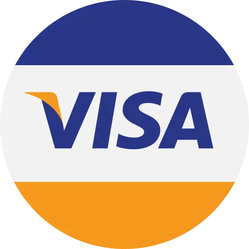 Visa Stock Icon